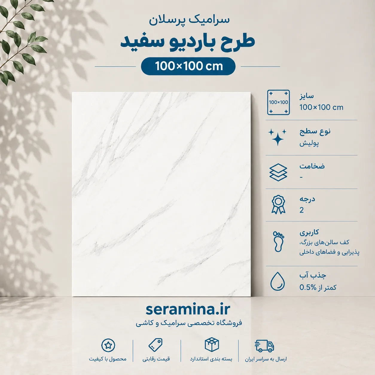 باردیو سفید 100×100