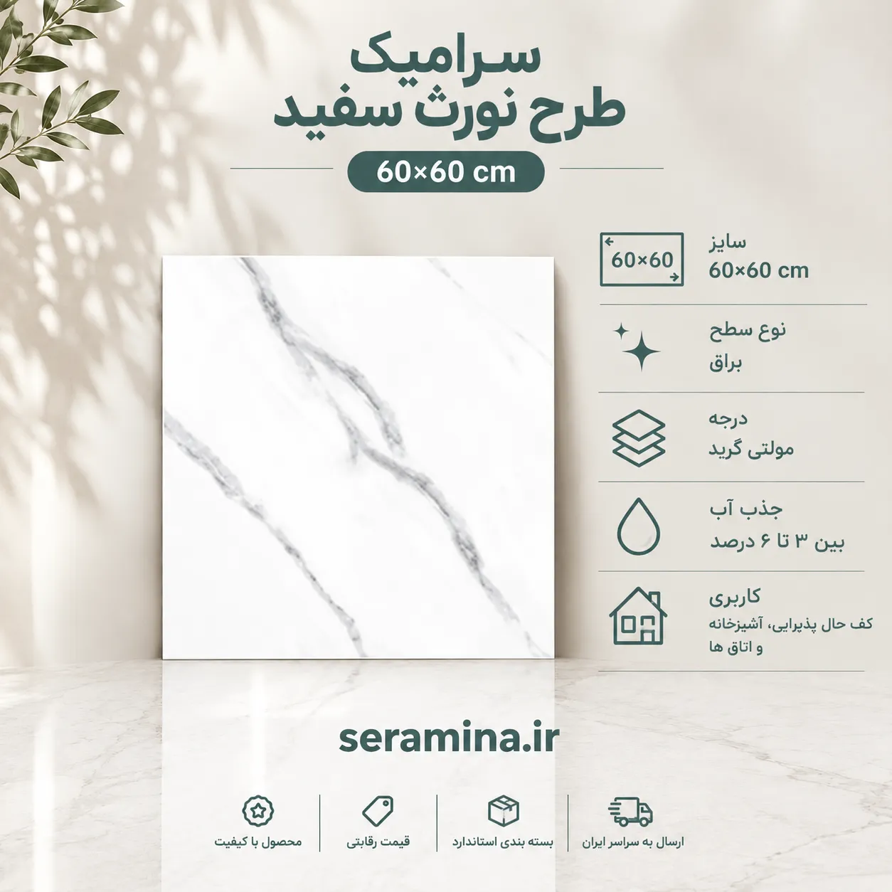 نورث سفید 60×60