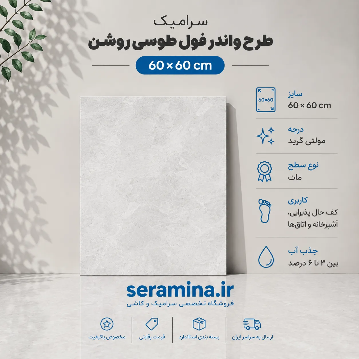 واندر فول طوسی روشن 60×60